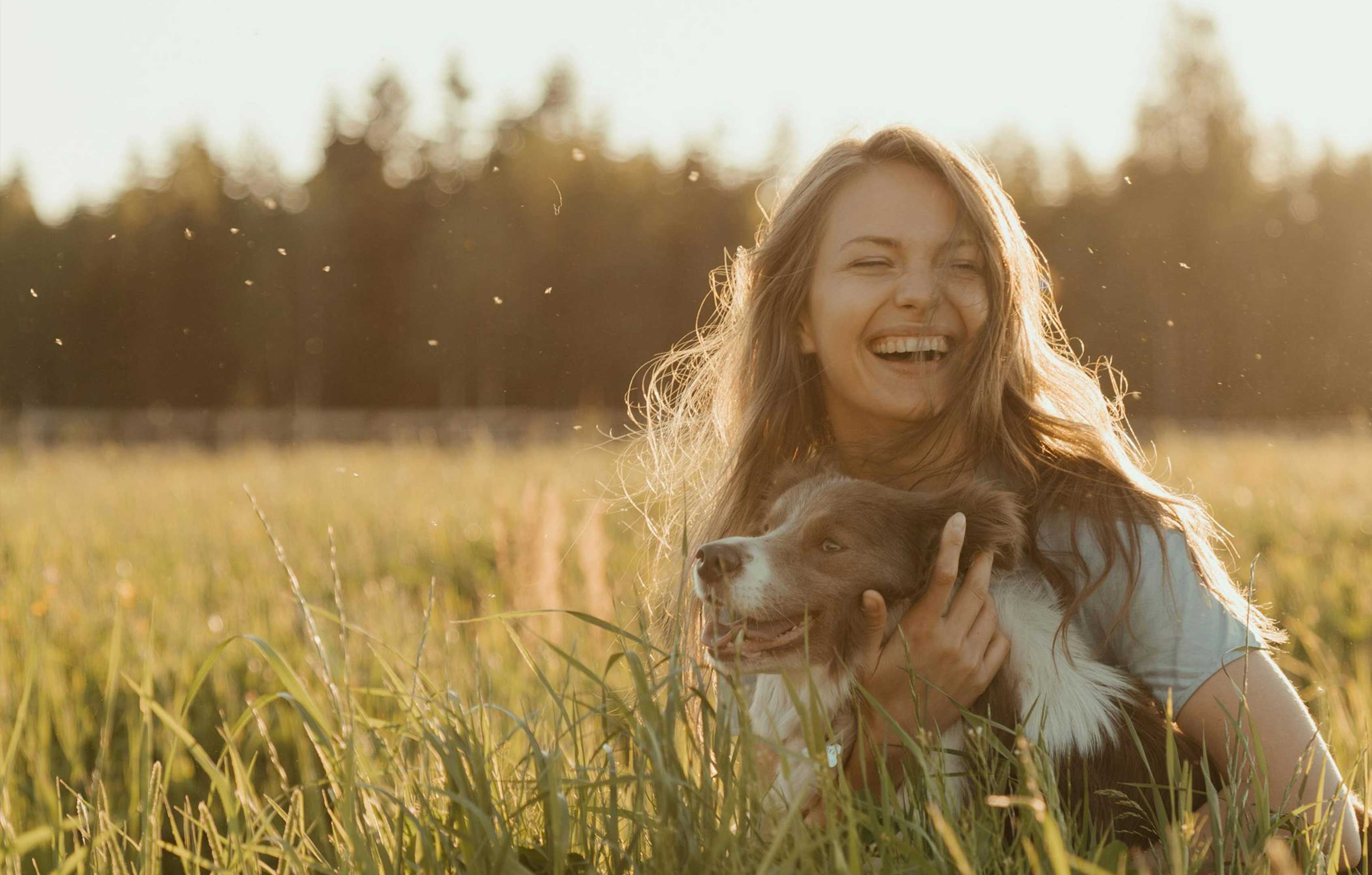 How-to-Find-a-Lost-Dog-Fast Supernormal