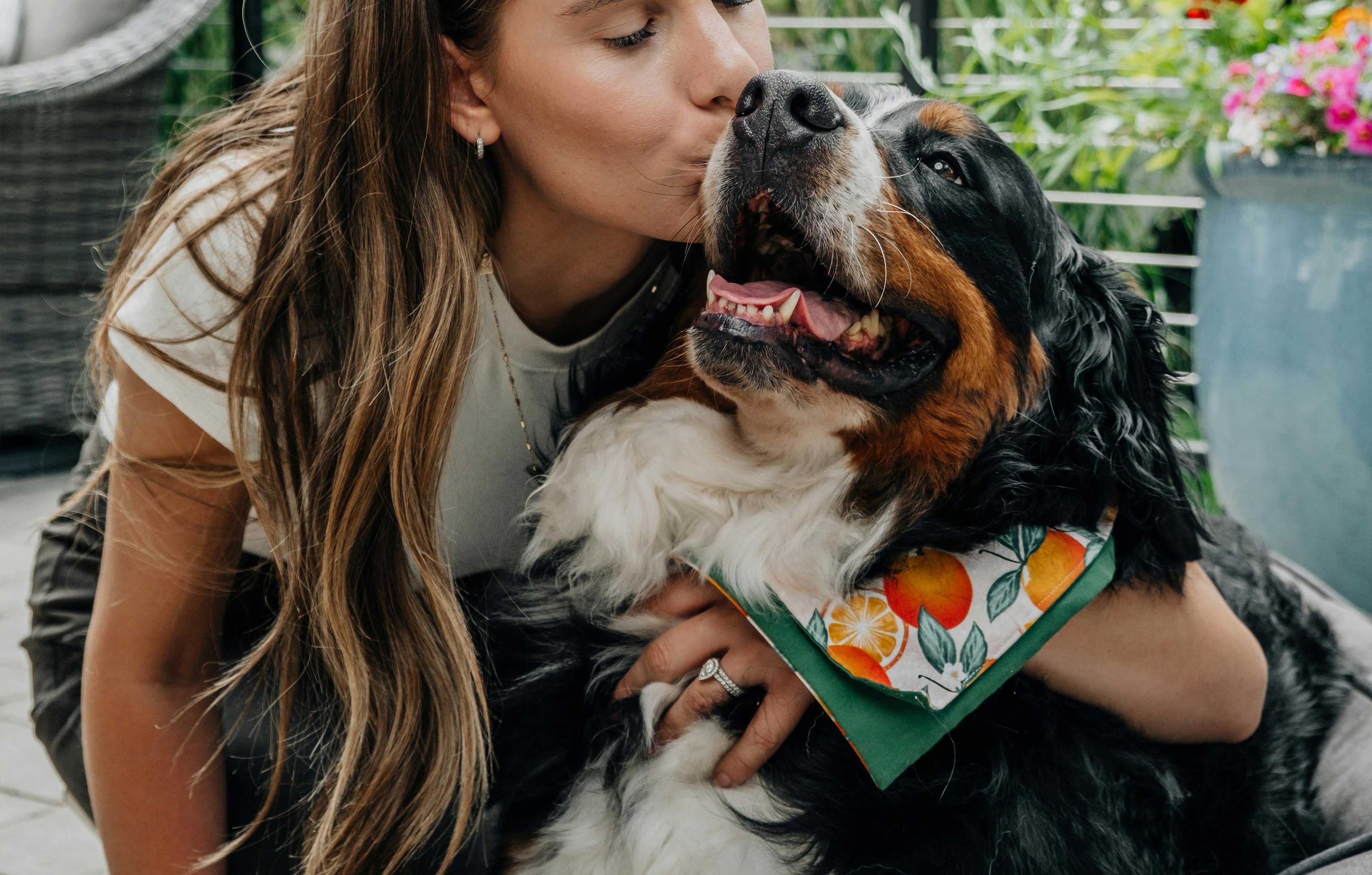 Microchip-vs-QR-Tag-Which-Is-Better-for-Pet-Identification Supernormal