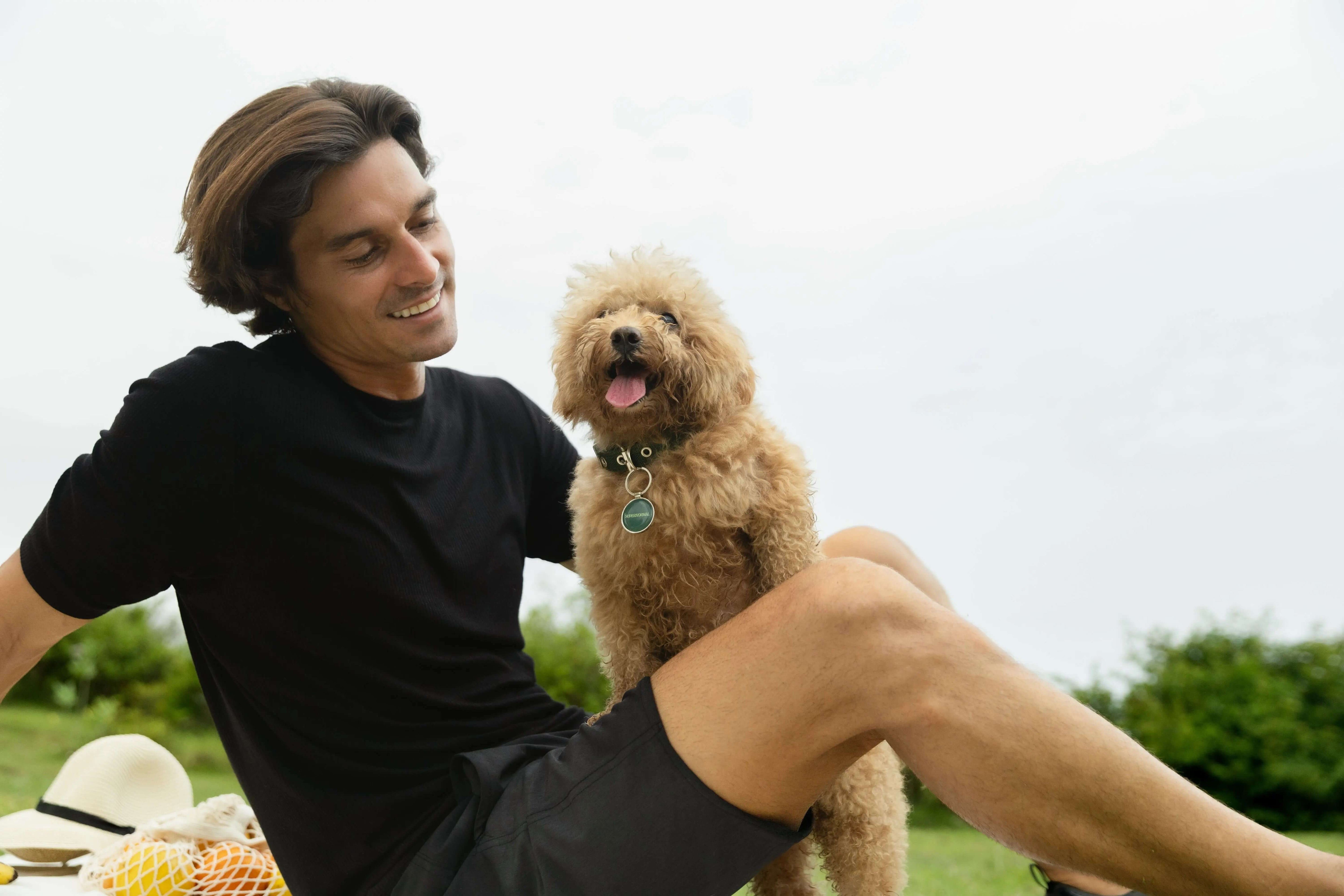 Best Dog ID Tags UK 2026 - Supernormal