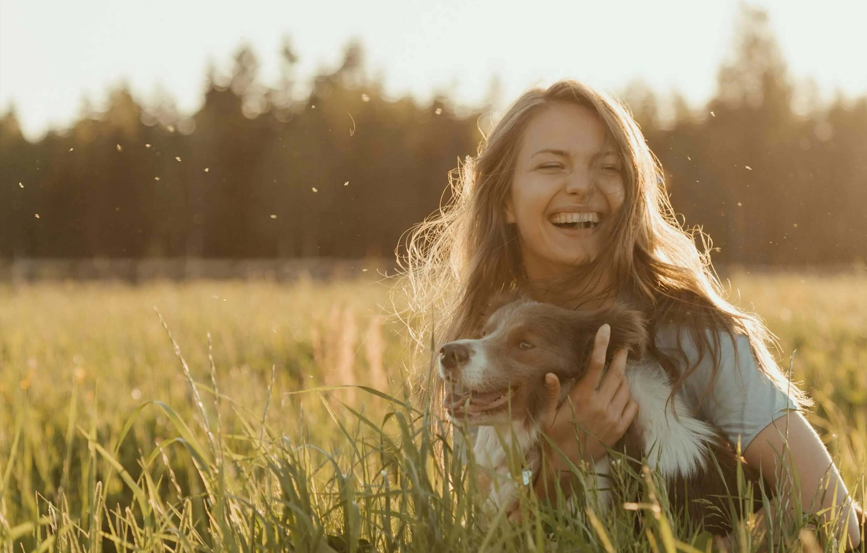 How to Find a Lost Dog Fast - Supernormal