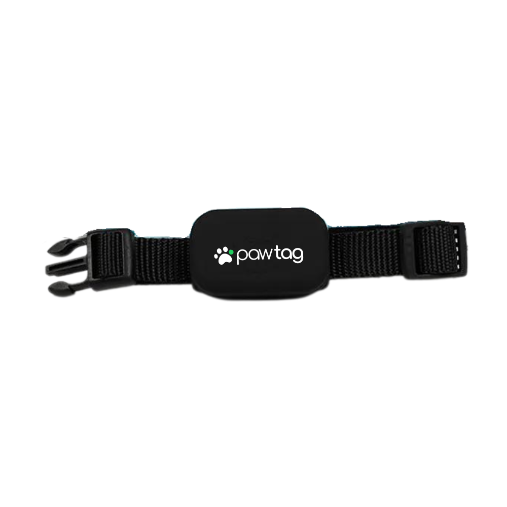 Supernormal PawTag GPS-Halsband