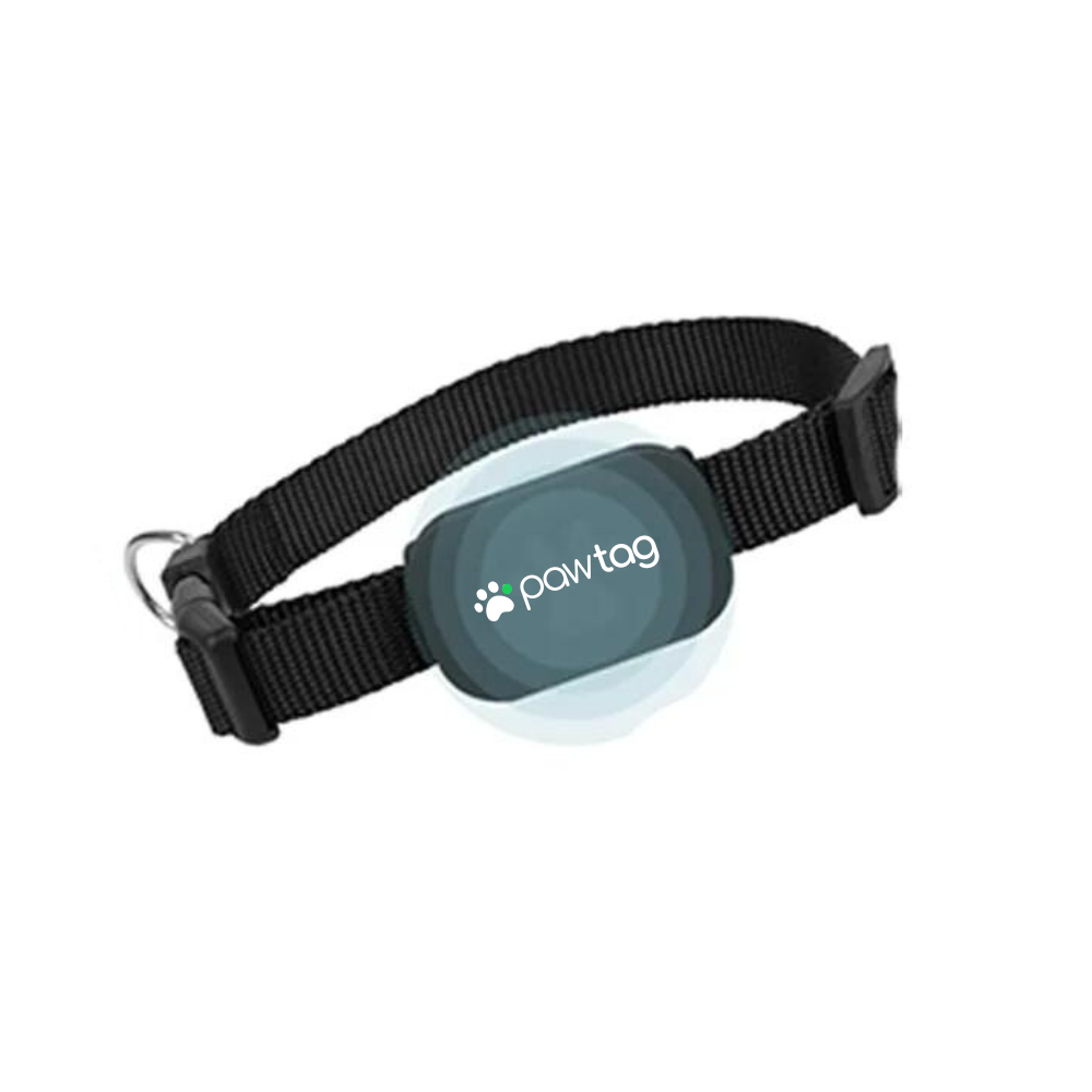 Supernormal PawTag GPS-Halsband
