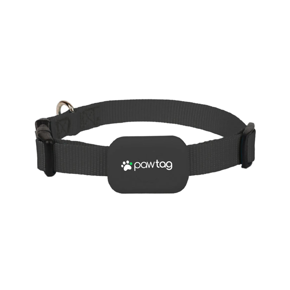 Supernormal PawTag GPS-Halsband