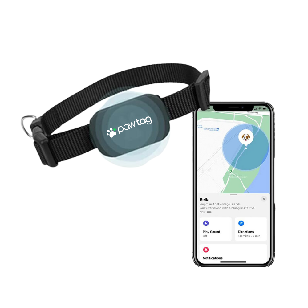 Supernormal PawTag GPS-Halsband