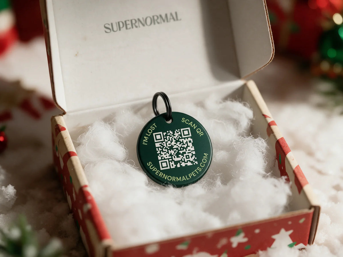 A green Supernormal QR pet tag in an open Christmas gift box on snowy cotton