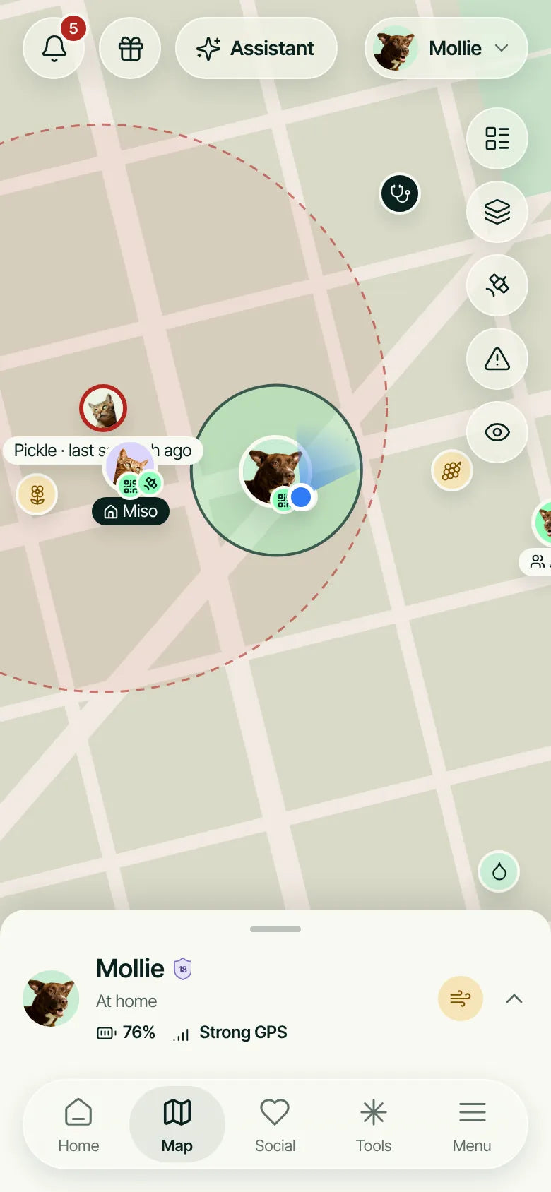 The Wandr app's map, showing Mollie at home with her safe zone, battery and GPS signal