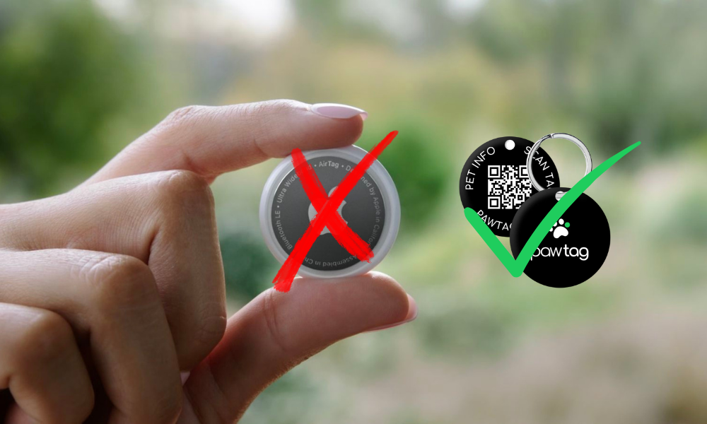 The Hidden Risks of Using AirTags on Dogs and Why PawTag is a Safer Solution