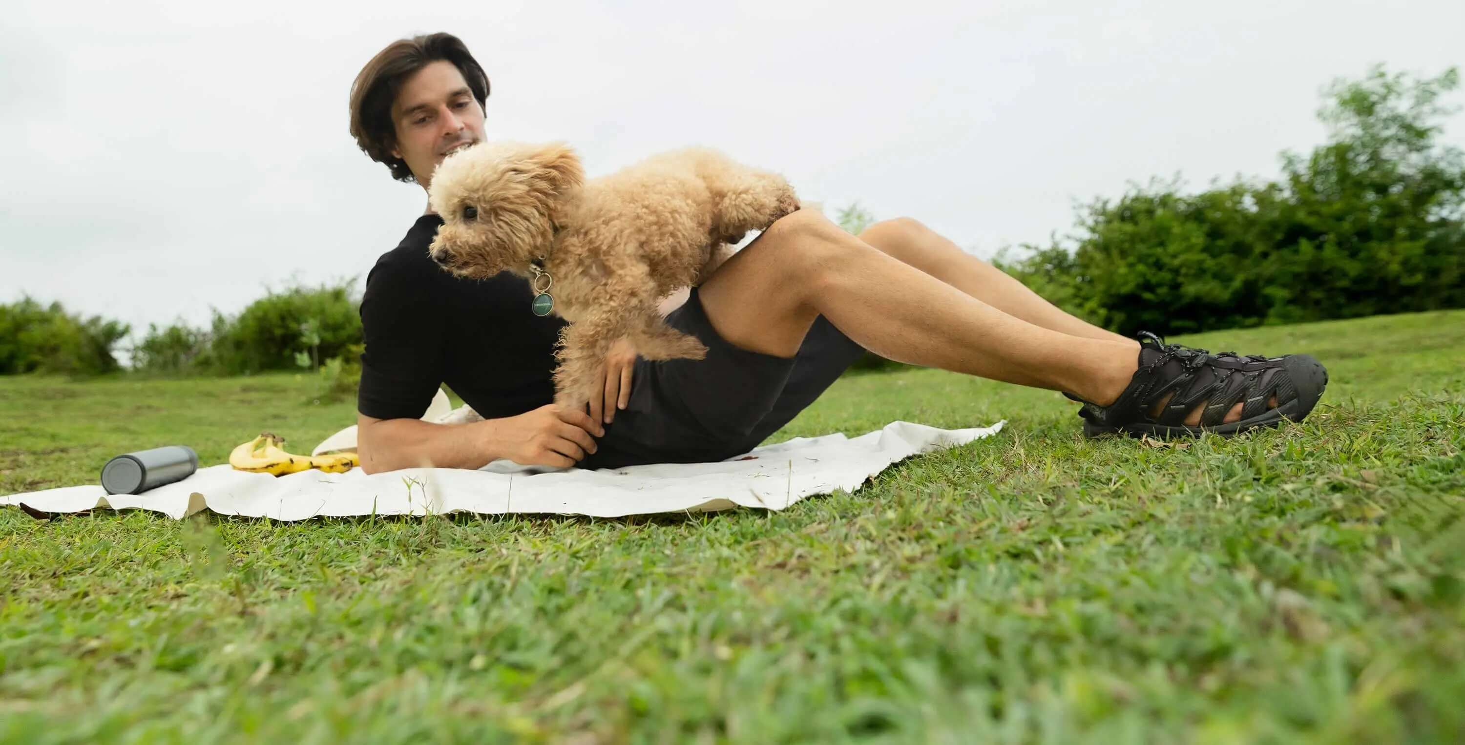 Best Dog ID Tags 2026 | Reviews and Comparisons for UK and USA - Supernormal