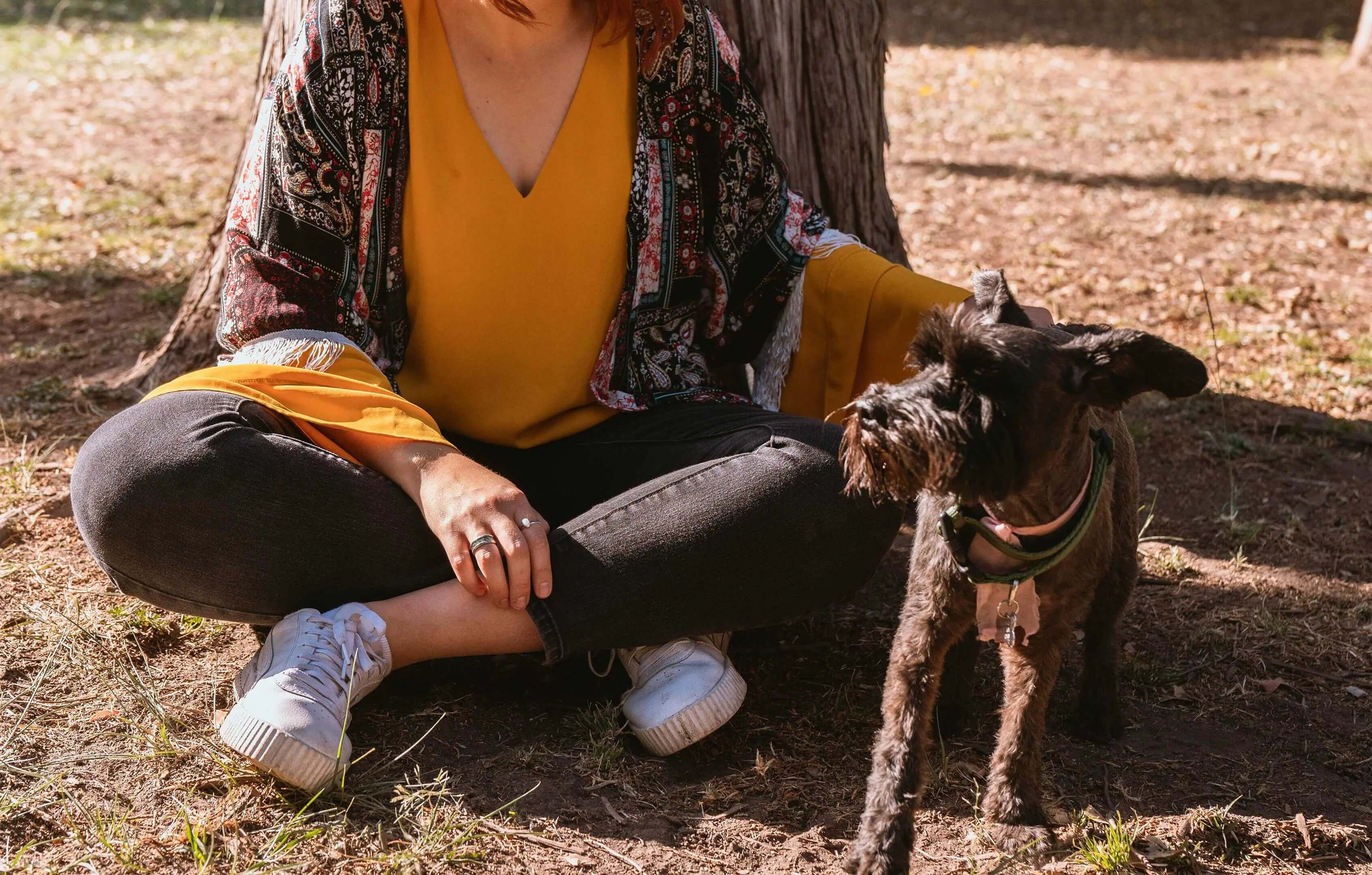 Best Ways to Keep Your Pets Safe - Supernormal