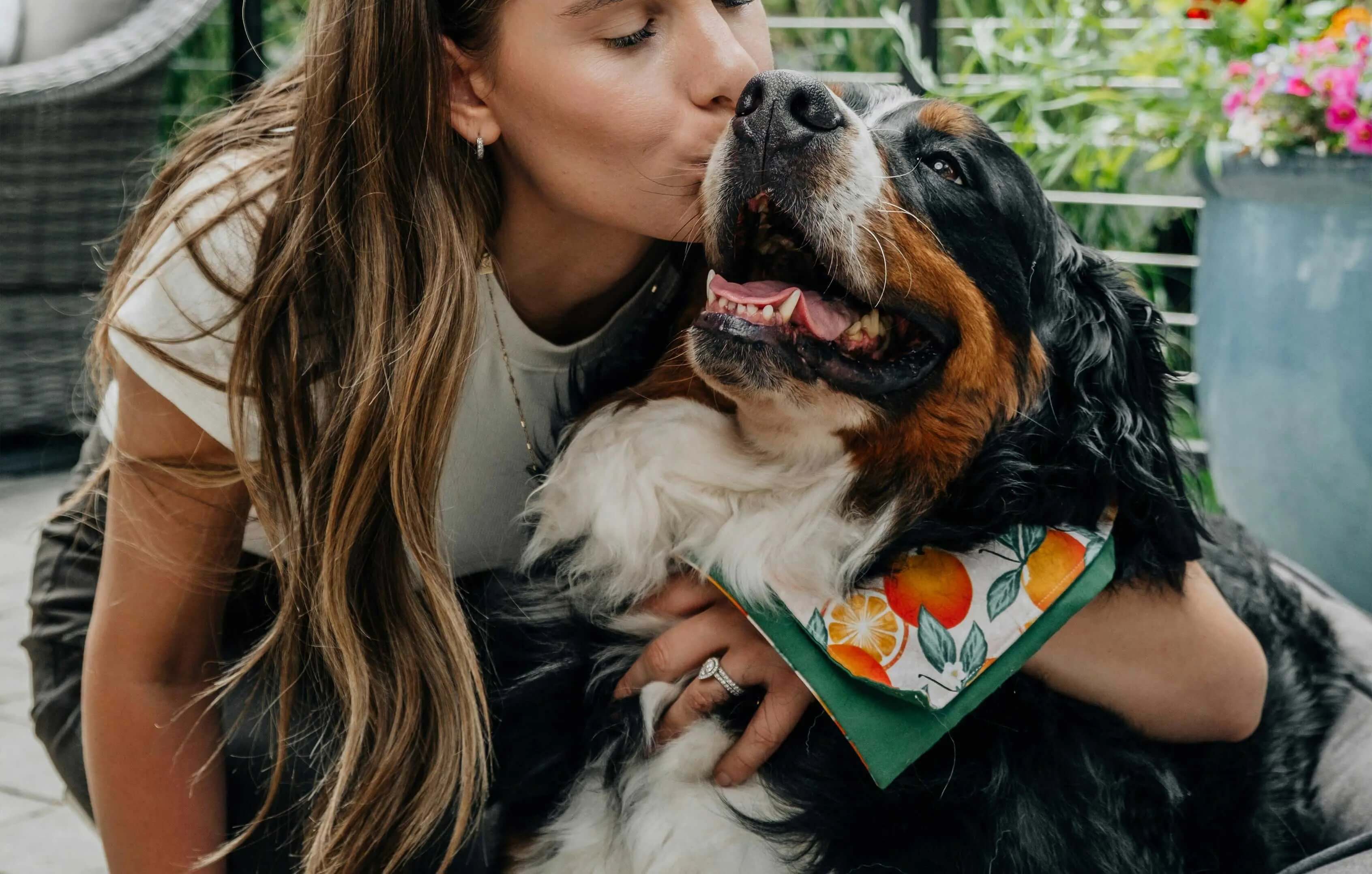 Microchip vs QR Tag: Which Is Better for Pet Identification? - Supernormal