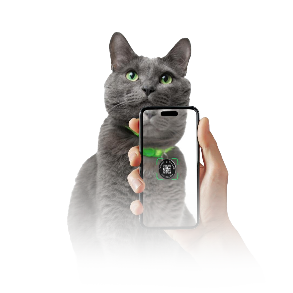 Only a scan away