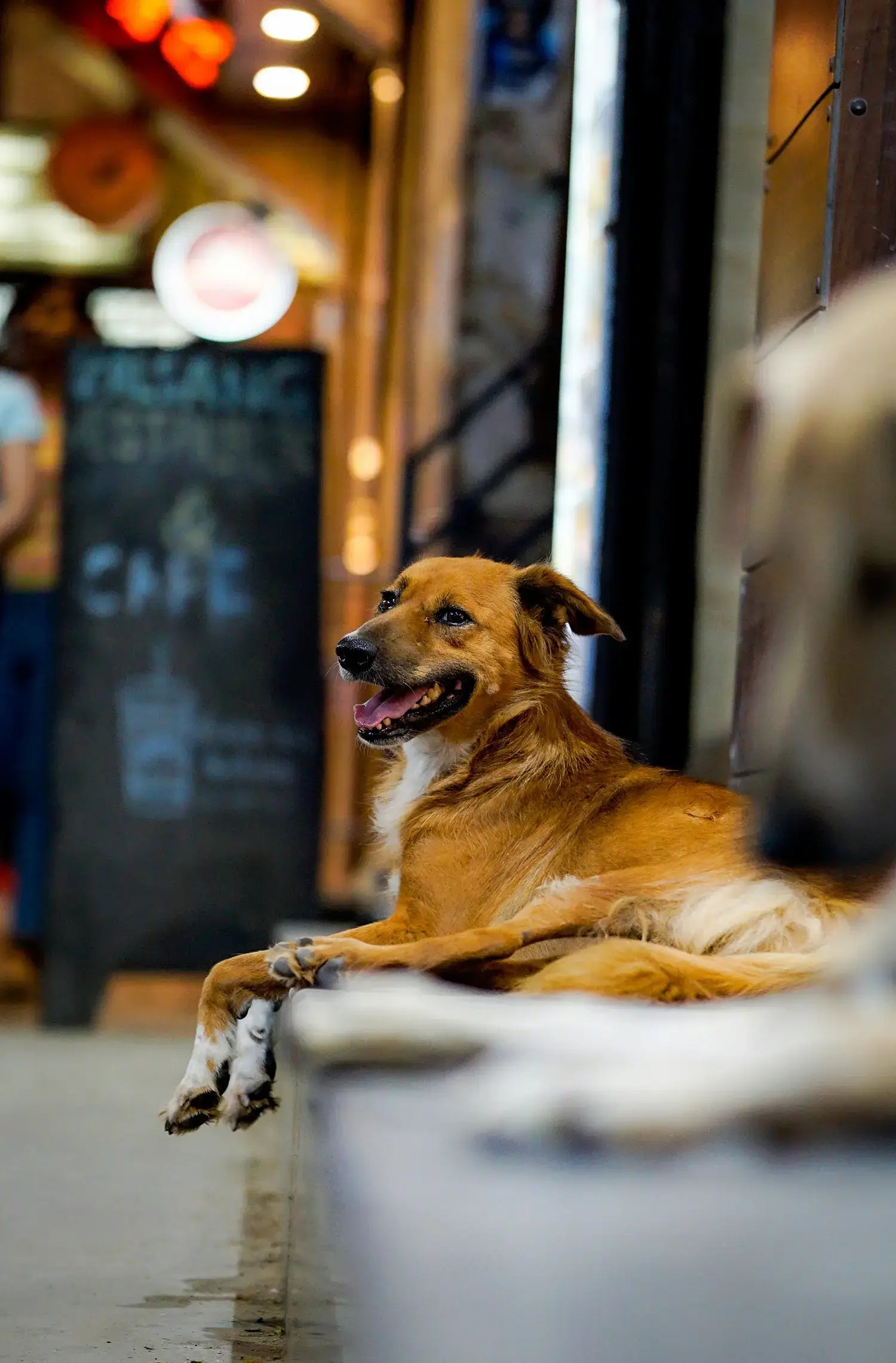 Supernormal QR Tracking Tag.