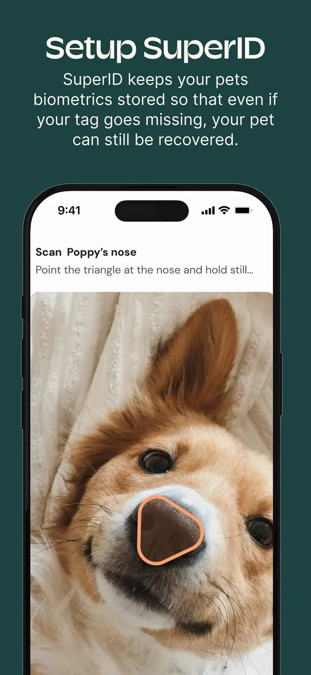 Scanning a dog's nose print for SuperID in the Supernormal app