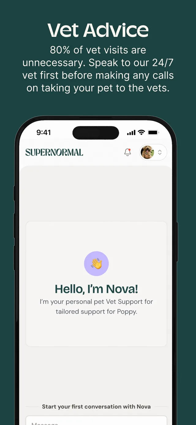 Chatting with Nova, the AI vet in the Supernormal app