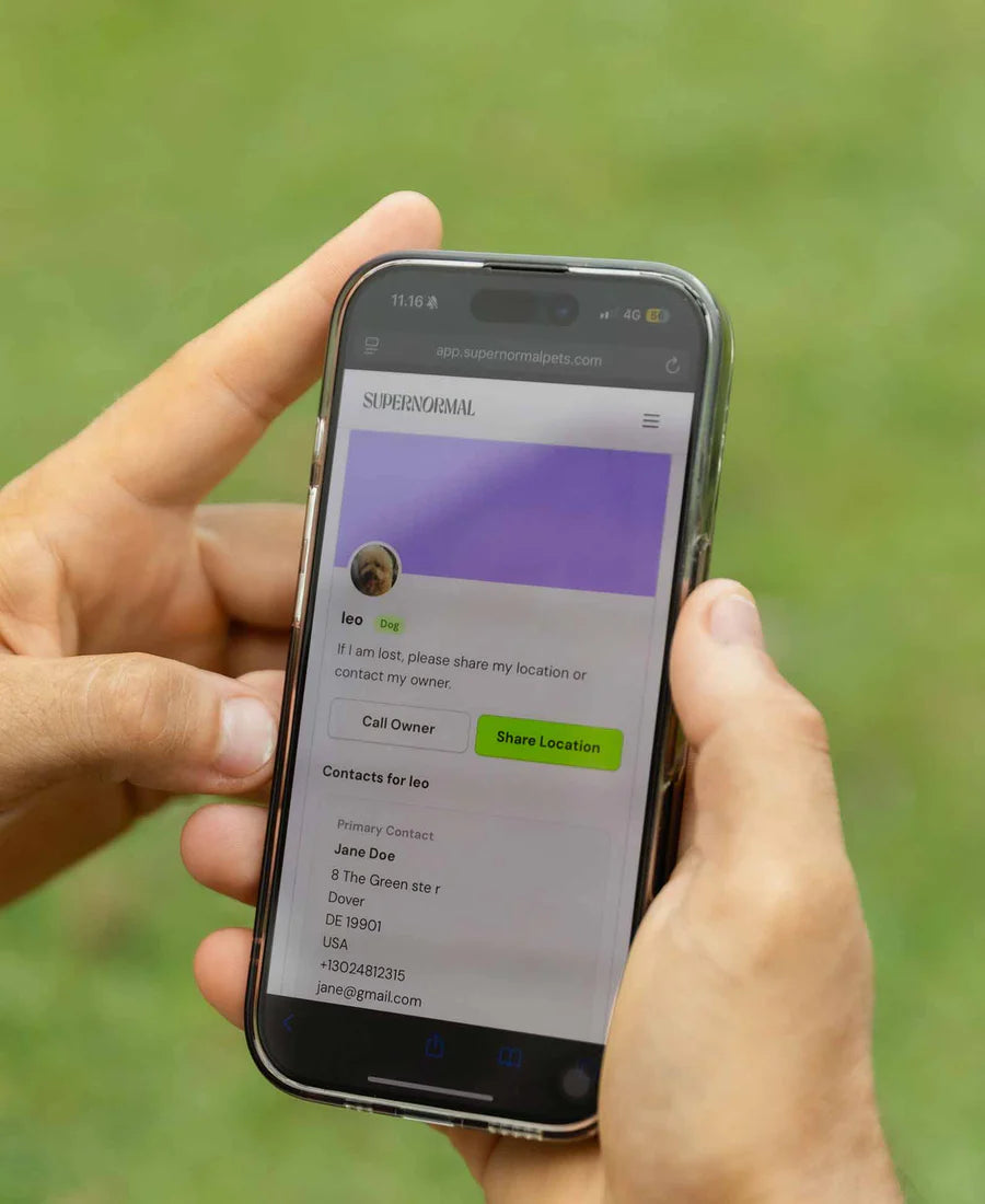 Hands holding a phone showing a dog's Supernormal pet profile with owner contact details