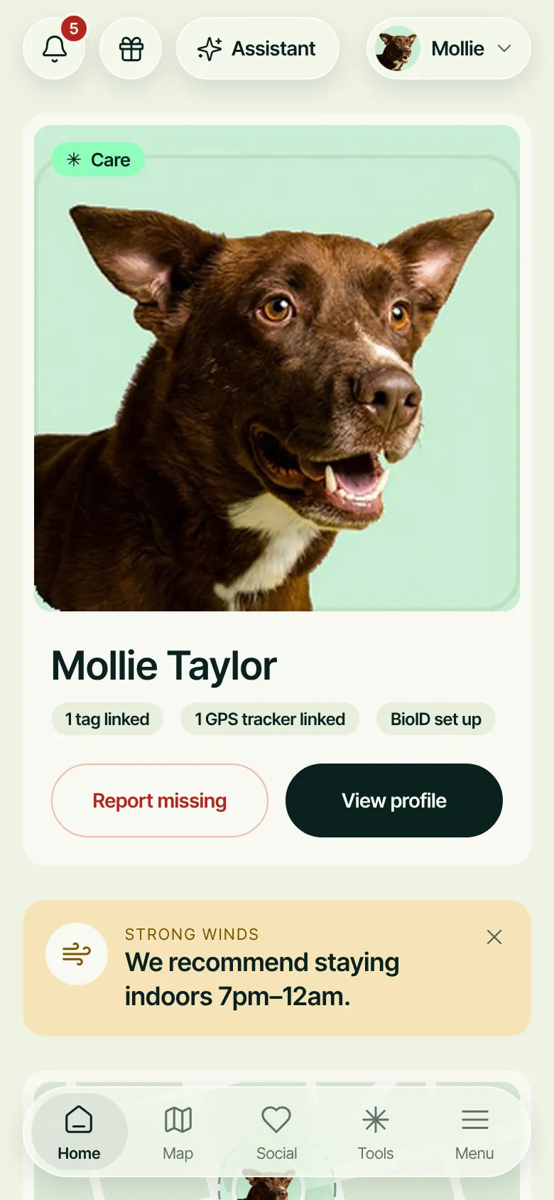 Mollie’s profile in the Wandr app, with her tag and GPS tracker linked and a Report missing button