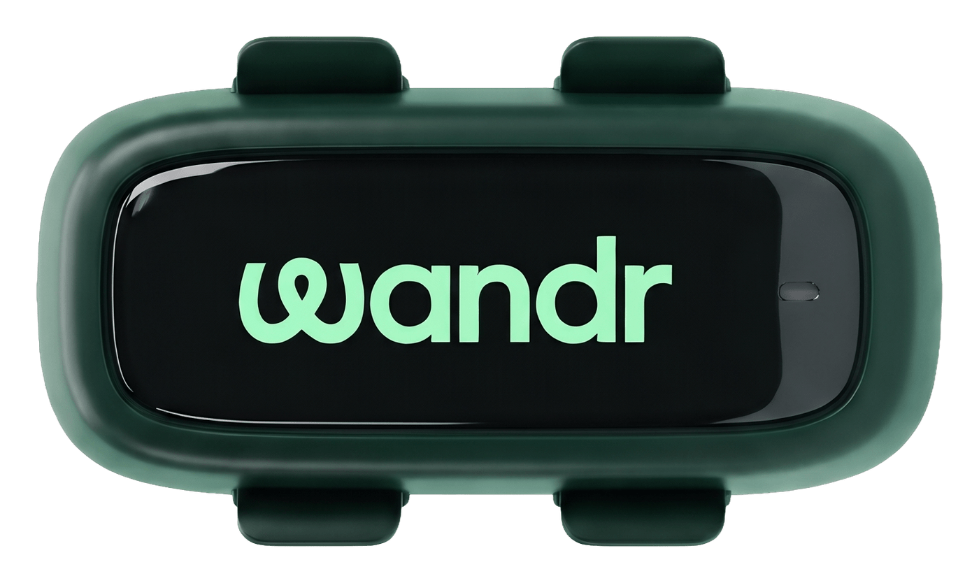 The Wandr GPS tracker in green, lilac and orange